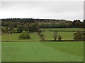 Beneath Shobdon Hill