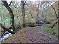 Llwybr Ceffyl Cwm Mynys Bridleway