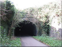 NT2772 : The east portal of the Innocent Railway Tunnel by M J Richardson