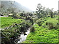 One of the headwaters of the Forkhill River below a field access bridge