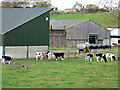 Standhill Farm and Creamery