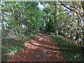 Bridleway to Whiteley Hill