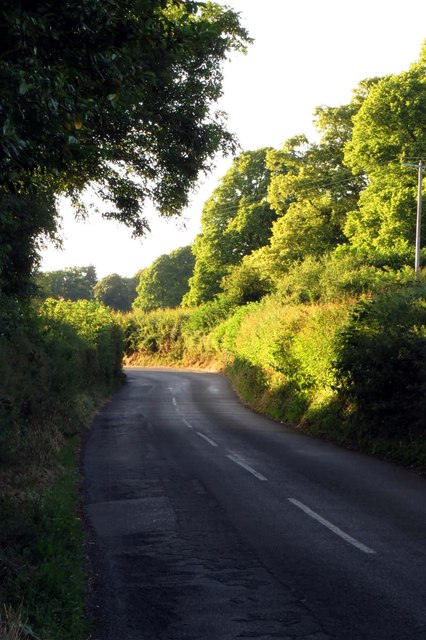 The road to Little Coxwell