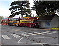 Sightseeing Tours buses in Torquay