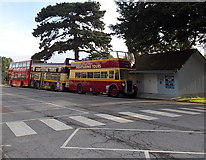 SX9063 : Sightseeing Tours buses in Torquay by Jaggery