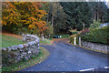 Road leading to Cluny House