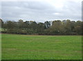 Farmland south of Black Moor Road