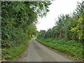 Lane near Slade Bottom Farm