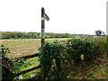 Footpath goes north from Southwick