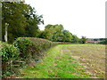 Looking along field edge to houses in Southwick