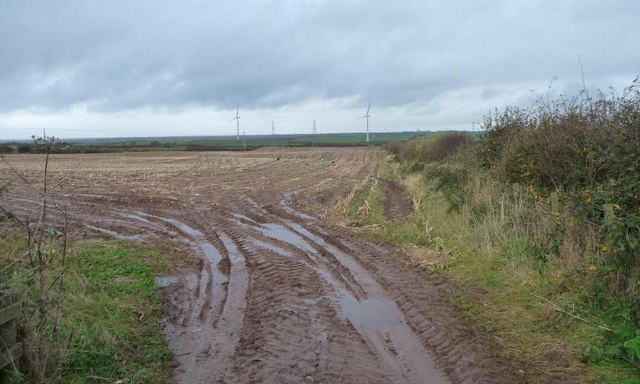 Muddy entrance to a stubble field, west of Aspatria
