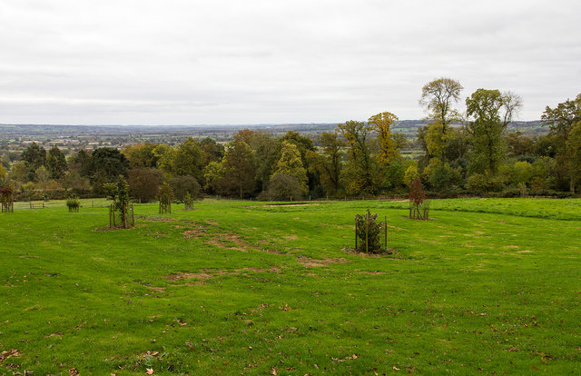 View from edge of arboretum