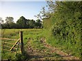 Field near the Nadder