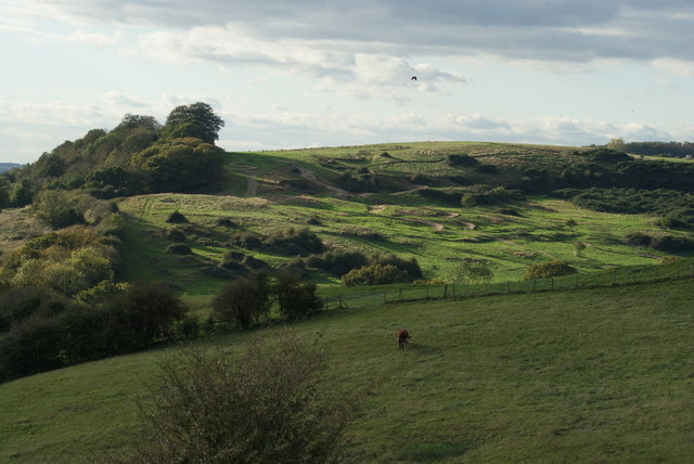 View of Plumtree Hill from Hadleigh Castle
