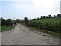 Farm access road on the north side of Crooked Road