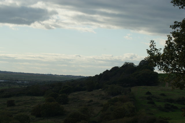 View of a hill of trees from Hadleigh Castle