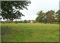 View Towards Barton Hall