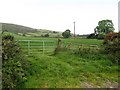 Improved grassland on lower hill slope at Annacloghmullin