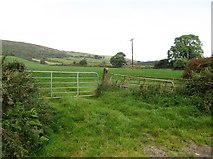 H9824 : Improved grassland on lower hill slope at Annacloghmullin by Eric Jones