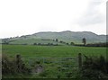 Improved grassland on the south side of Shaughan Road