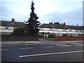 Houses on Hampton Road, Twickenham