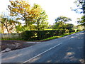 The road passing Creech Farm