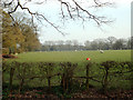 SP0974 : Sheep pasture by Forshaw Heath Road by Robin Stott