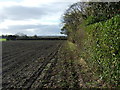 Farmland and hedgerow