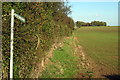 Bridleway to Bury End