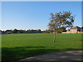 School Grounds, Globe Primary School