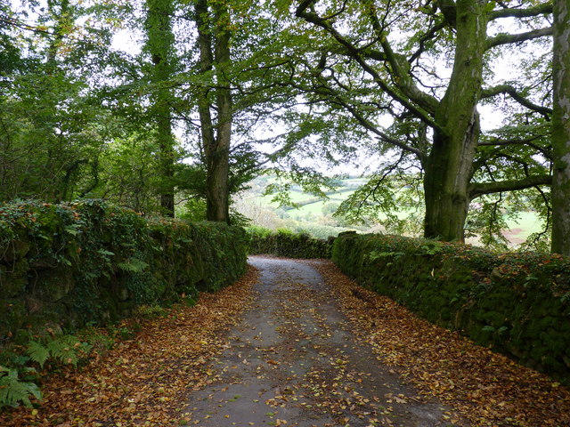 Autumn on the road from Moorgate to Owley