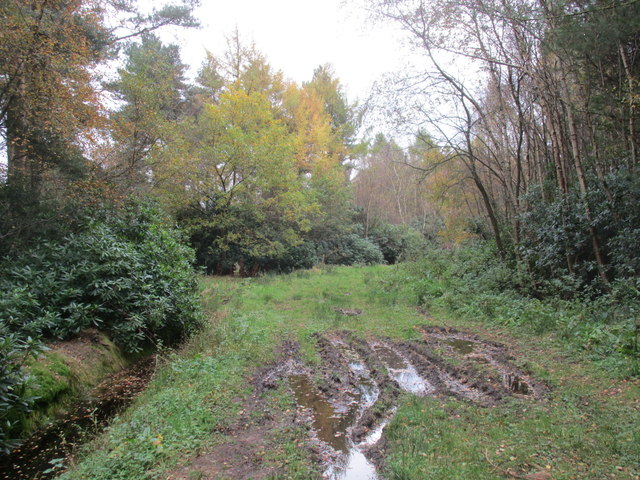 single track north bend