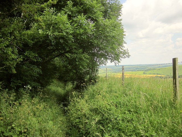 Bridleway near Winkelbury