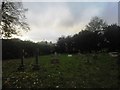 Churchyard, Manningford Abbotts (2)