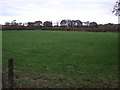 Grazing off Wigan Lane (A5106)