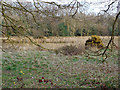 One of two adjacent ponds by Forshaw Heath Lane