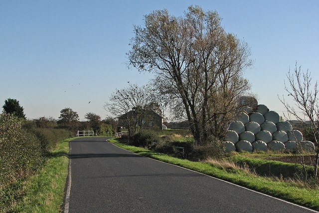 Bales, a bend in the road and a tree of crows