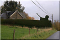 Scottie Dog Hedge on the B846