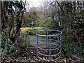 Kissing gate near Coytrahen