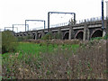 Bawtry - railway viaduct (from NE)