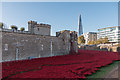 Tower of London and The Shard, London