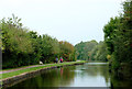 Canal north of Trentham, Stoke-on-Trent