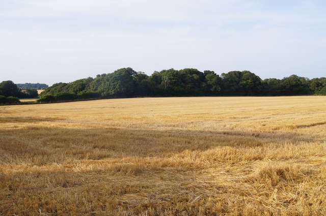 Hansfords Field (12 acres) - post harvest 2014