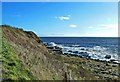 Wick Bay View