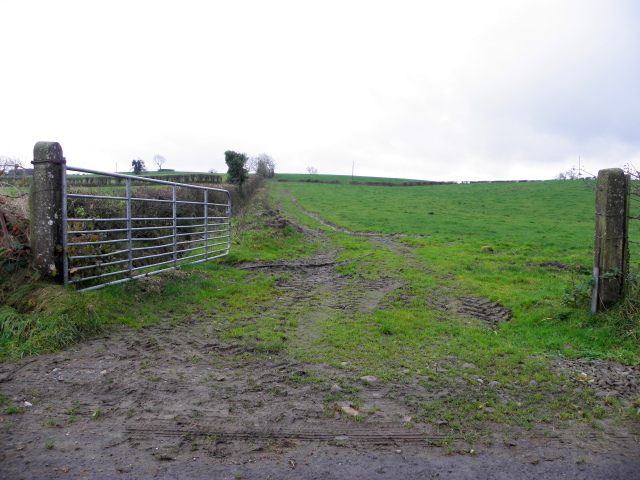 An open field, Drumnahoe