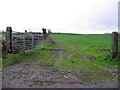 H3990 : An open field, Drumnahoe by Kenneth  Allen
