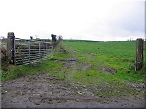 H3990 : An open field, Drumnahoe by Kenneth  Allen