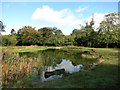 Pond on top of Barn Hill