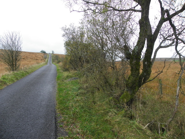 Gallan Road