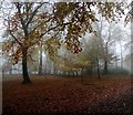 SK2579 : A misty October day in Granby Wood by Graham Hogg